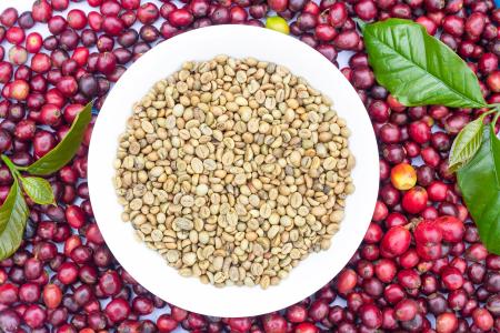 Premium Sidamo Coffee Beans 1kg (Grade 1 Washed / ቡን)