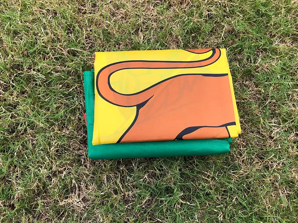 Colorful kite on grass