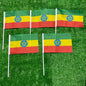 Four flags with a green, yellow, and red design on a grassy background