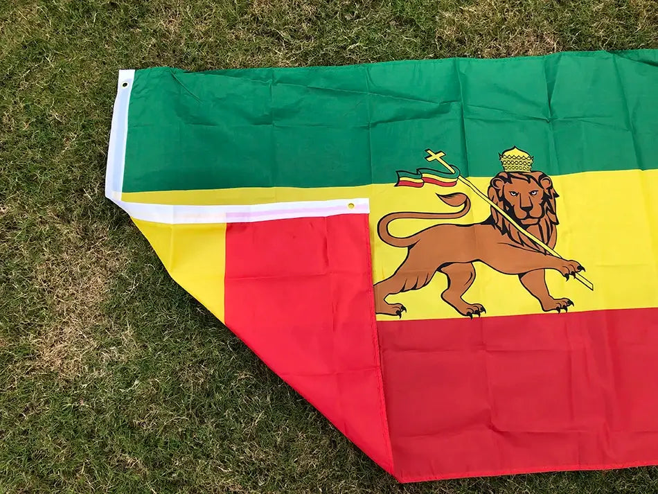 Flag with a lion emblem on a grass background