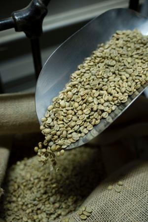 Premium Sidamo Coffee Beans 1kg (Grade 2 Washed / ቡን)