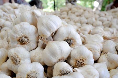 Garlic Powder 100g ( ፅዕዳ ሽንኩርቲ / ነጭ ሽንኩርት)